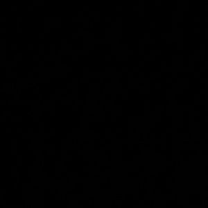 Meet your Posher, Socks